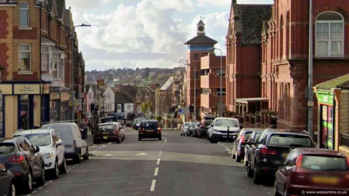 Police descend on town centre after reports of man with knife