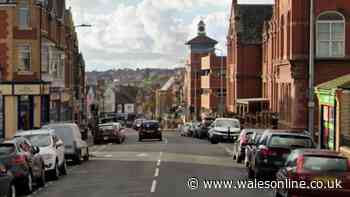 Police descend on town centre after reports of man with knife