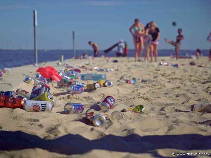 Canada Day crowds leave Kingston pier a mess, opinions divided on waste management