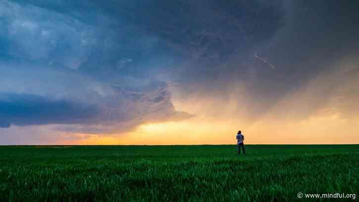 Reprogramming The Panic: Choosing Conscious Response Over Avoidance