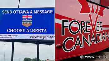 Flags and patriotic ads: Why the rules around referendum advertising are causing a stir