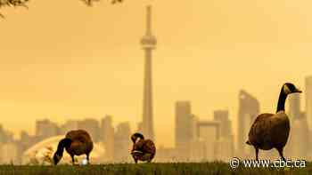 Michigan Republicans blast Canada over wildfire smoke, air quality in U.S.
