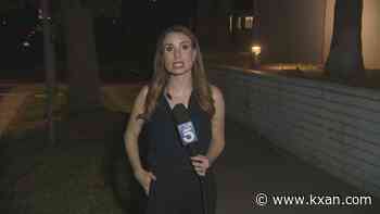 'I knew it was on me': Video shows reporter power through live report as cockroach crawls on her