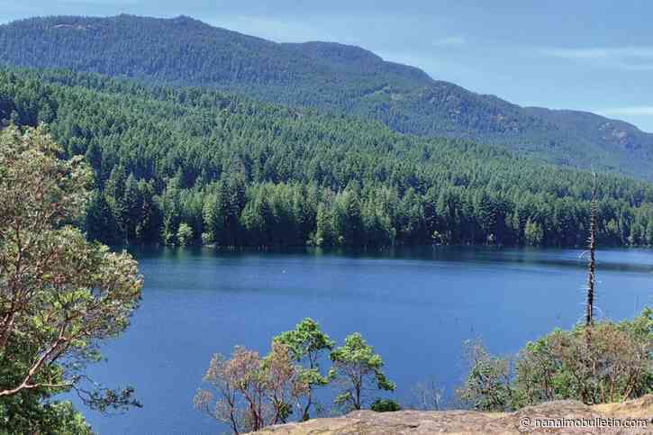 Trees in Nanaimo save the city $13.7 million, according to a report