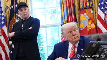 Tiktok, Tech und Krypto – Das gigantische Spendennetzwerk von Donald Trump