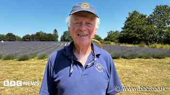 Lavender farm becomes haven for old schoolfriends