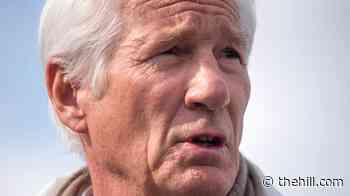 Richard Gere: Trump 'a rogue personality who's destroyed so much'