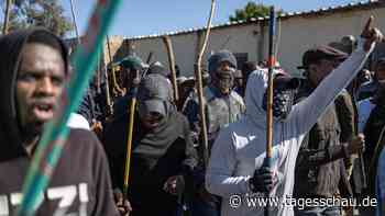 Wieder fremdenfeindliche Proteste in Südafrika - aus dem Ausland gesteuert? -