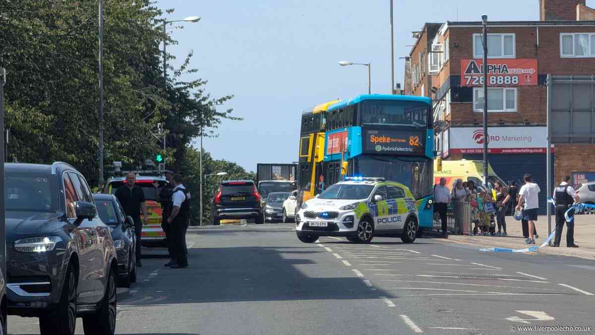 Businesses evacuated as armed police descend on Dingle road