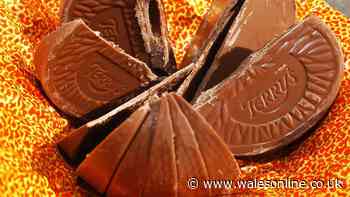 Terry's Chocolate Orange fans can't wait to try new collab with famous cookie brand