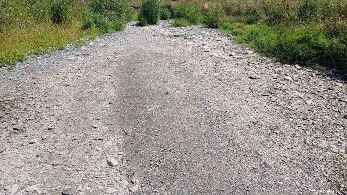 The huge effect summer heatwaves have had on rivers, lakes and wildlife in Wales