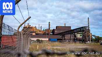 Concerns smelter closure exposes Australia to geopolitical risk