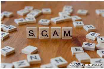 Laramie County Clerk: Phony Voter Registration Scam Widely Reported