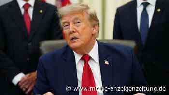 TV-Ansprache von Trump steht bevor: Präsident greift Wahlsystem an – verliert fast jede Schlacht vor Gericht