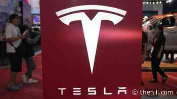 Tesla driver in fatal Texas crash overrode driver assistance system: NTSB
