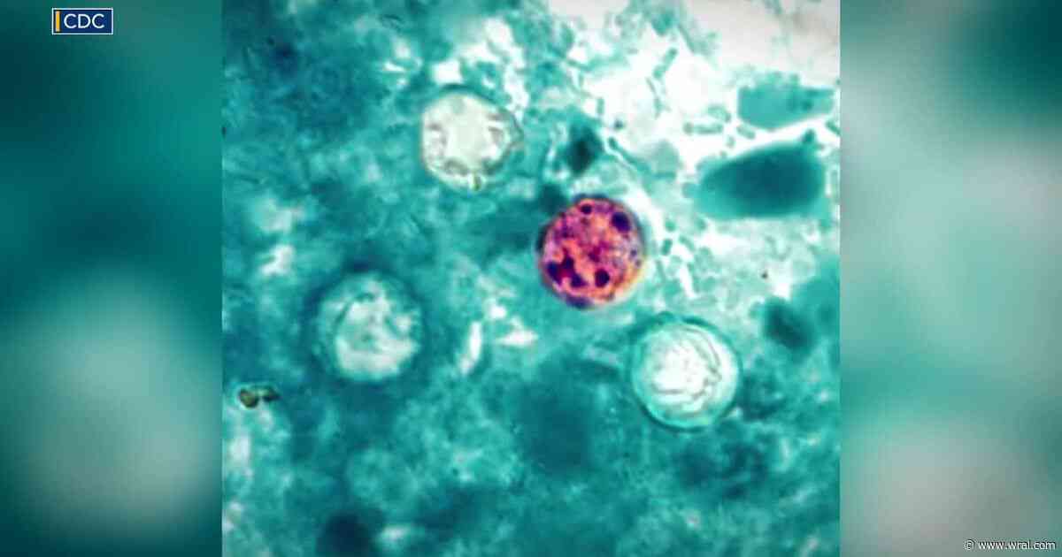 More people are seeking Cyclospora tests. Here's what patients should know
