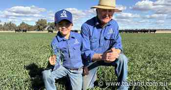 How one farming family turned a failed season into a winning opportunity