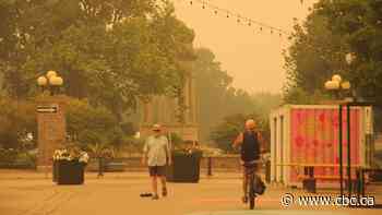 Waterloo region and area set for 2nd day of bad air quality due to wildfire smoke