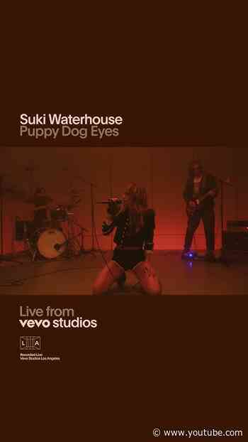 Suki Waterhouse "Puppy Dog Eyes" | Live from Vevo Studios