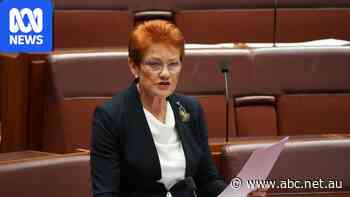 Live: Hanson says daughter Lee is the 'future', has 'potential' to run One Nation