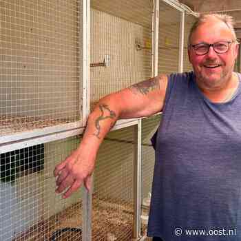 Gerriet (65) kweekt al zestig jaar vogels en mag nu dromen van wereldtitel