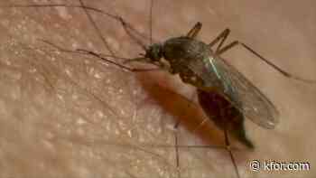 Two West Nile virus cases confirmed in Oklahoma