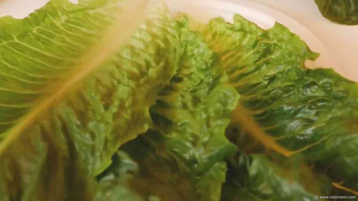 Broward doctor explains diarrhea-causing parasite as cases rise in South Florida