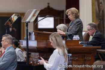 Texas election chief raised concerns about the federal tool used to flag potential noncitizens