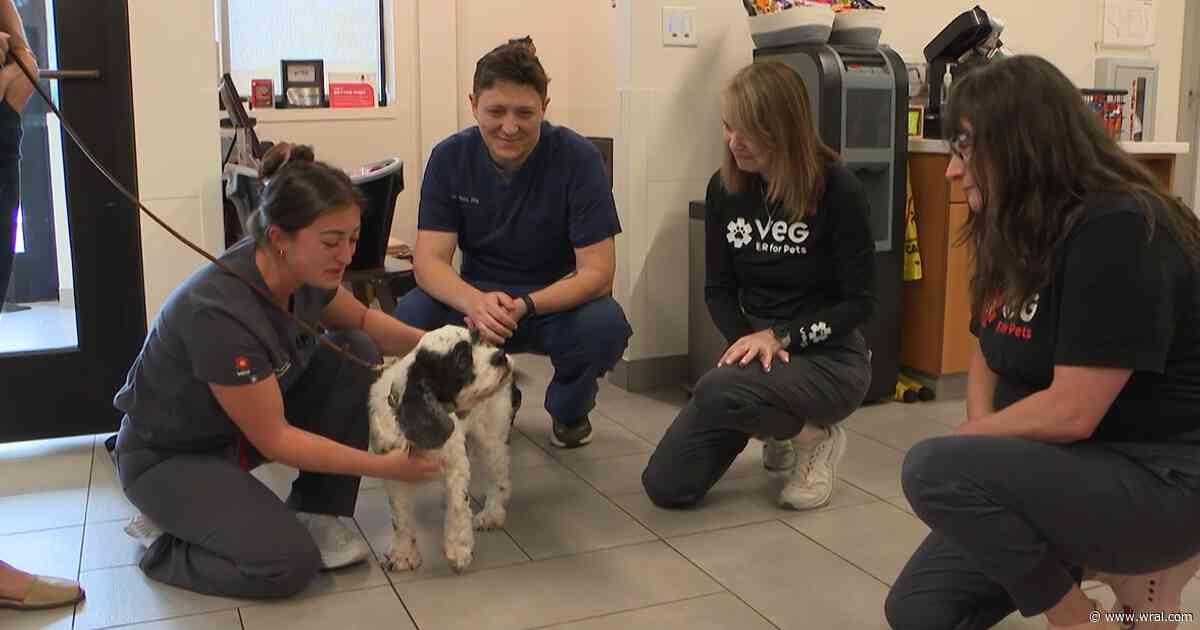 Rescuers celebrate Mr. Pickles