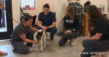 Rescuers celebrate Mr. Pickles