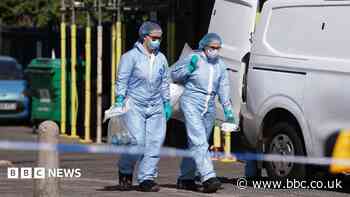 Intruder killed woman as she slept with husband and baby, court told
