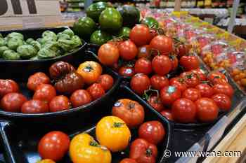Fresh produce under scrutiny as cyclosporiasis cases rise in Allen County