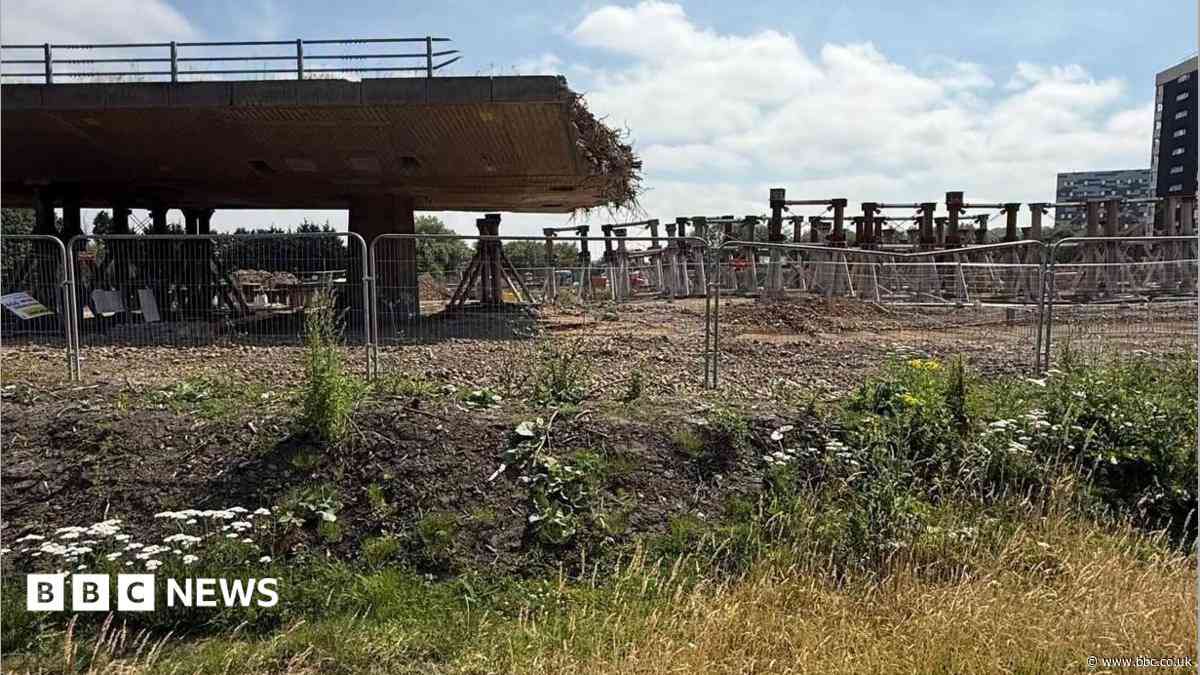 Flyover demolition 'passes' halfway point
