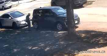 Video captures distraction theft from an 88-year-old woman in East Vancouver