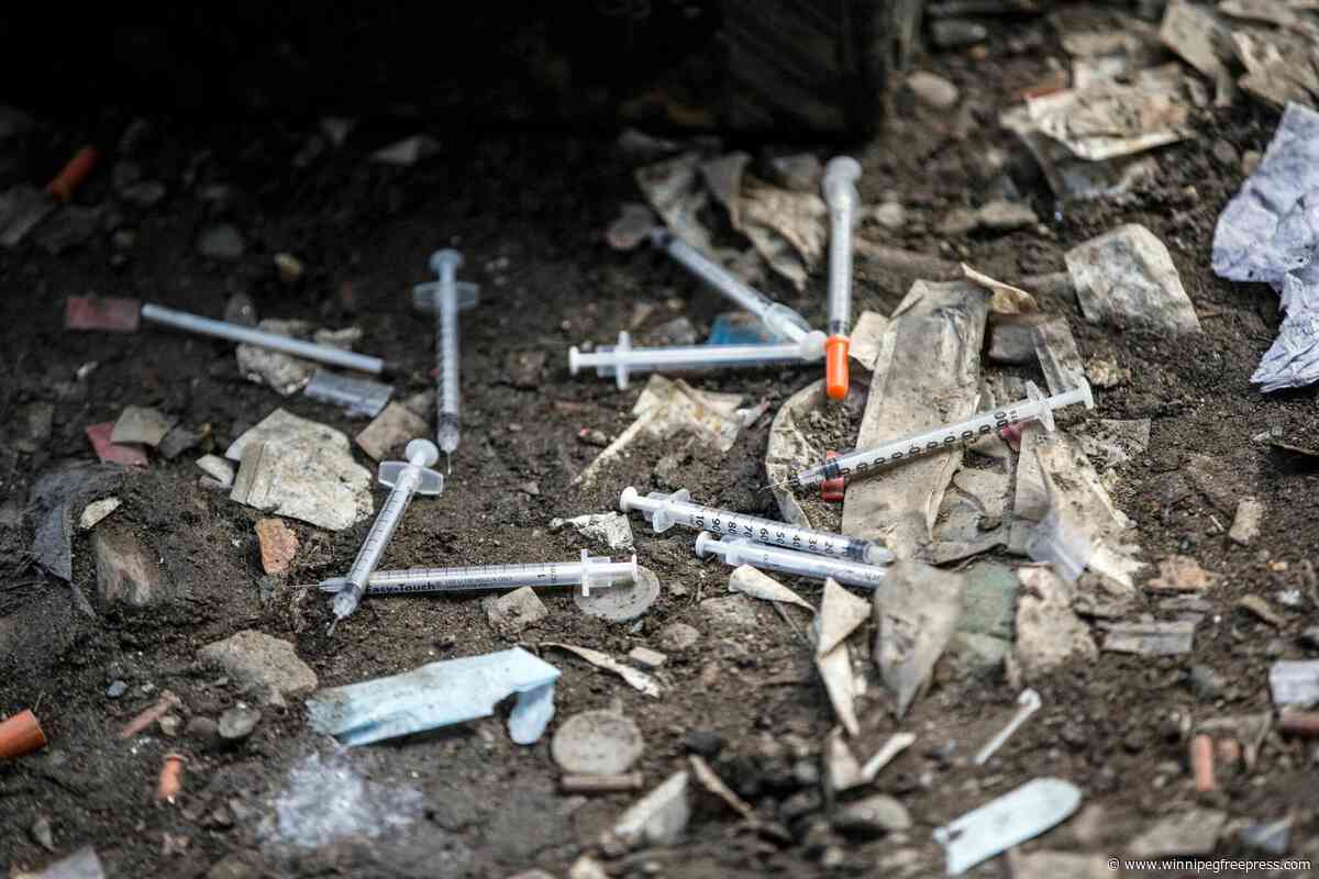 Councillors expand downtown cleanup of drug-related items, weapons