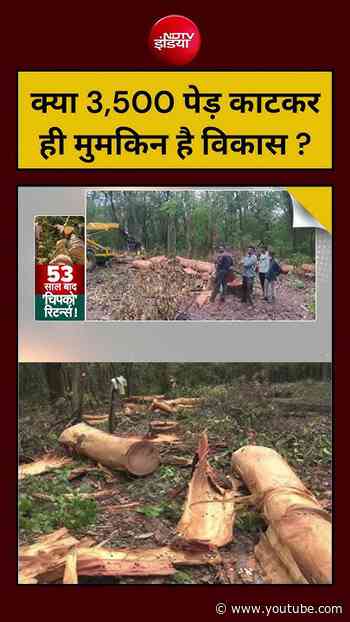 Meenakshi Kandwal | क्या 3,500 पेड़ काटकर ही मुमकिन है विकास ? | #shorts #ndtvindia #road