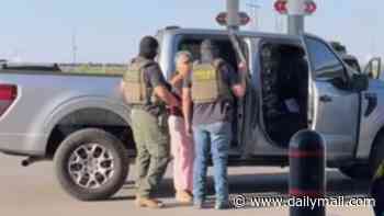 Grandmother goes viral for ICE arrest on her way to chemotherapy before drug smuggling charge emerges