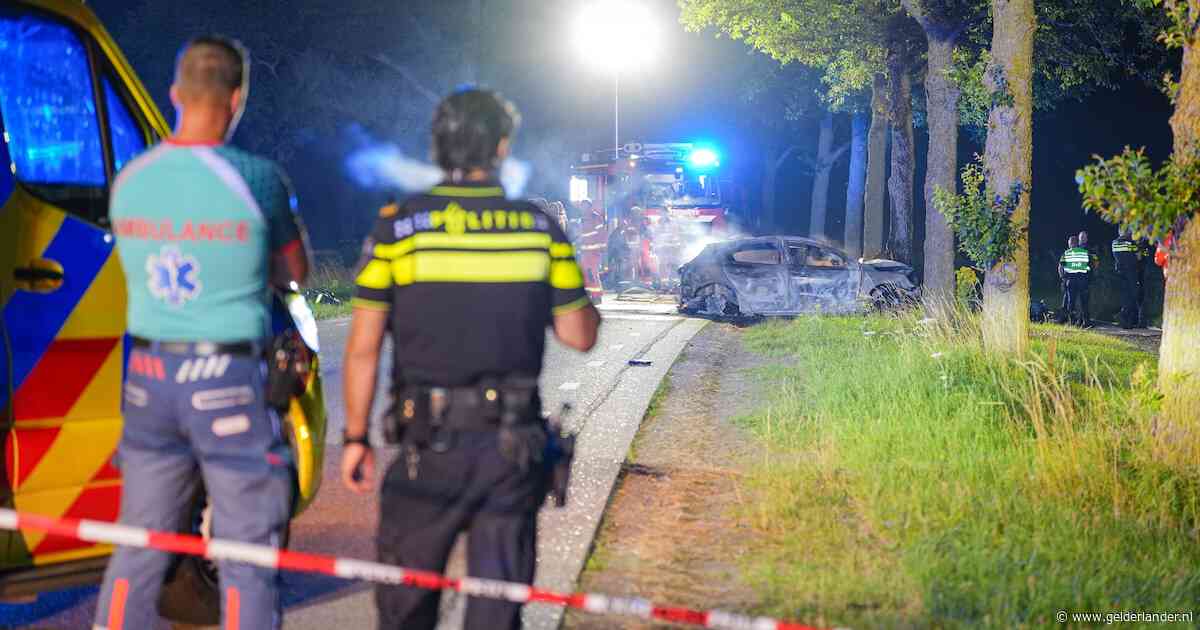 Meerdere doden nadat auto tegen boom botst en in brand vliegt in Groningse Den Ham