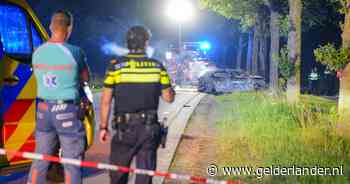 Meerdere doden nadat auto tegen boom botst en in brand vliegt in Groningse Den Ham
