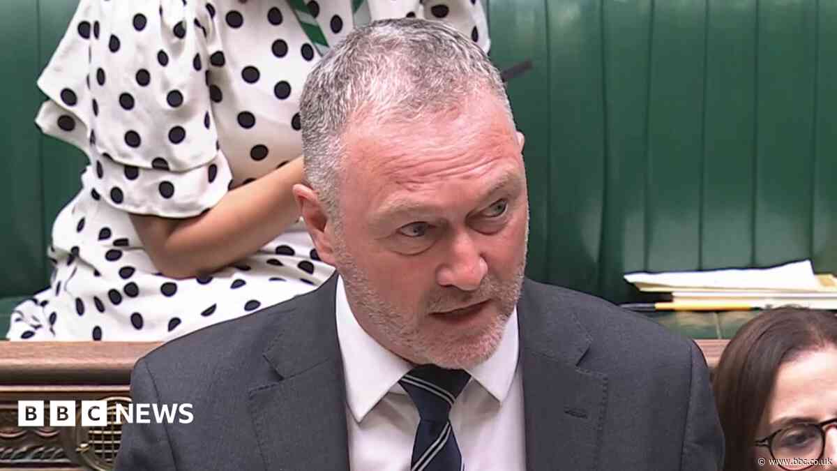 County's council reform plans delayed by government