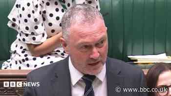County's council reform plans delayed by government