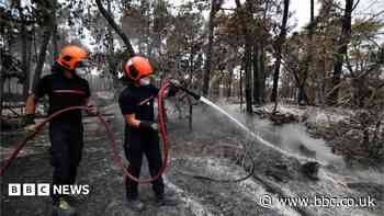Volunteer firefighter suspected of starting devastating France forest fire