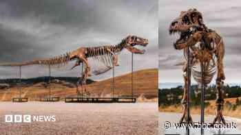 Tyrannosaurus rex most expensive dinosaur ever sold