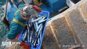 'Crucial' marine skills centre opens for fishers