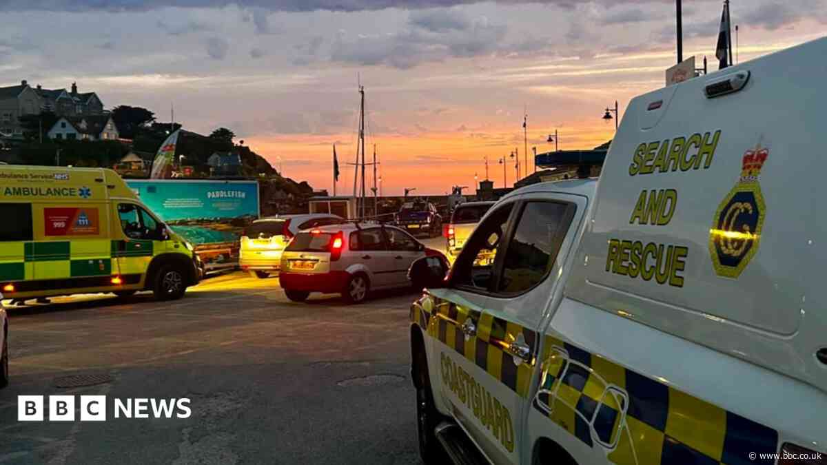Person and dog rescued from sea in dawn emergency