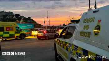 Person and dog rescued from sea in dawn emergency