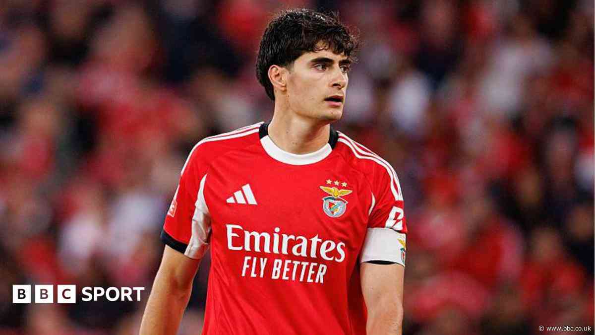 Bournemouth in talks for Benfica defender Silva