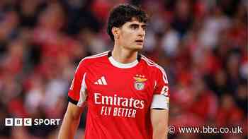 Bournemouth in talks for Benfica defender Silva