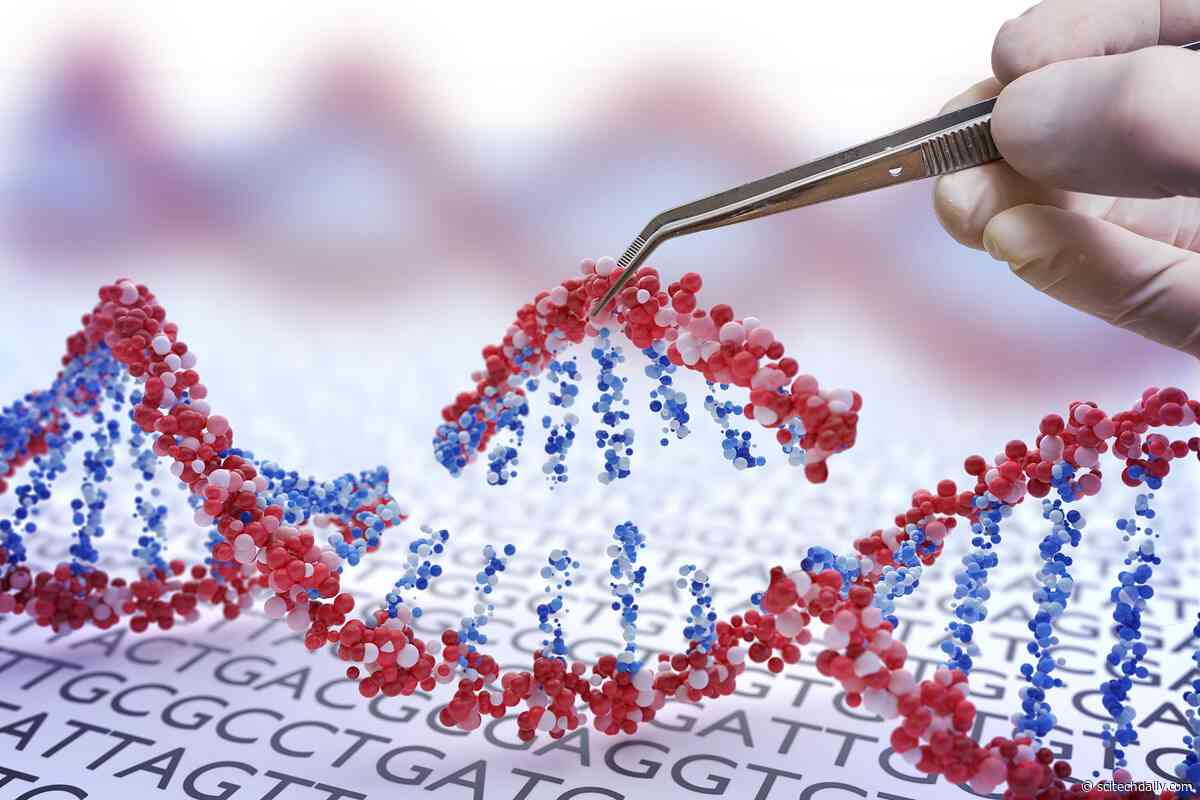 New CRISPR Tool Gives Scientists Control Over Cellular Protein Production