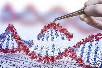 New CRISPR Tool Gives Scientists Control Over Cellular Protein Production